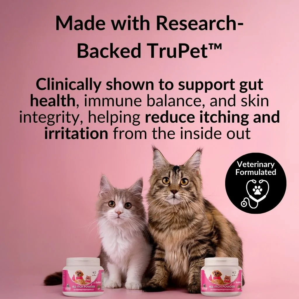 All-Itch Food Topper for Cats - Image 3