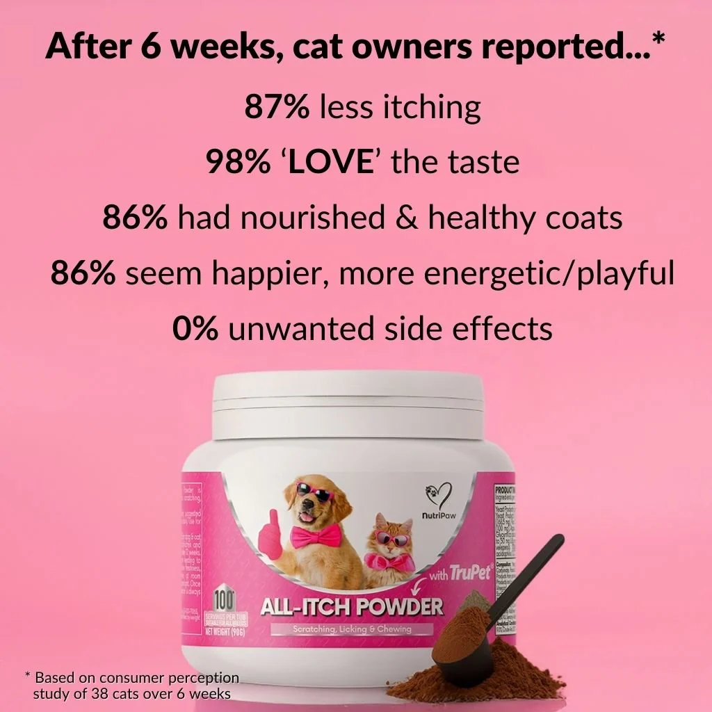 All-Itch Food Topper for Cats - Image 5