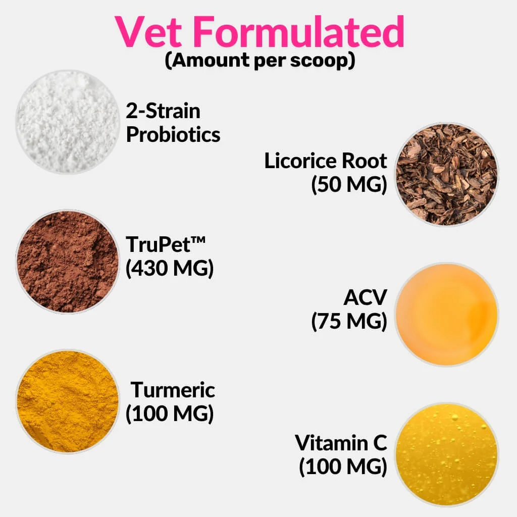 All-Itch Food Topper for Cats - Image 6