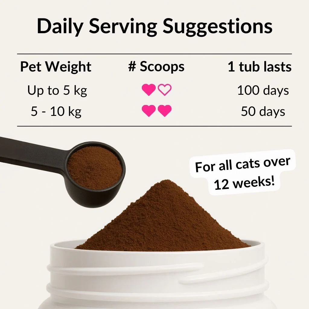 All-Itch Food Topper for Cats - Image 7