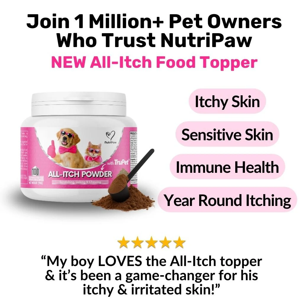 All-Itch Food Topper for Cats - Image 8