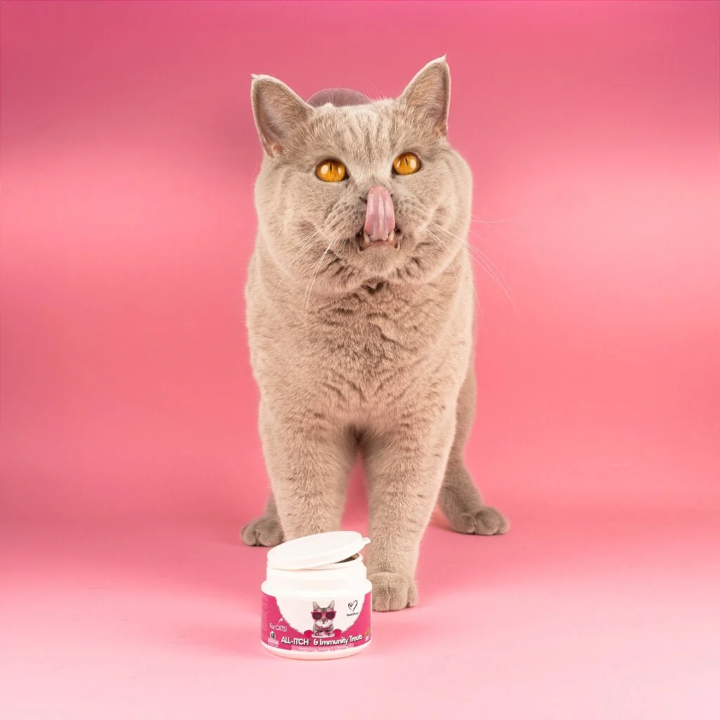 All-Itch Chews for Cats - Image 4