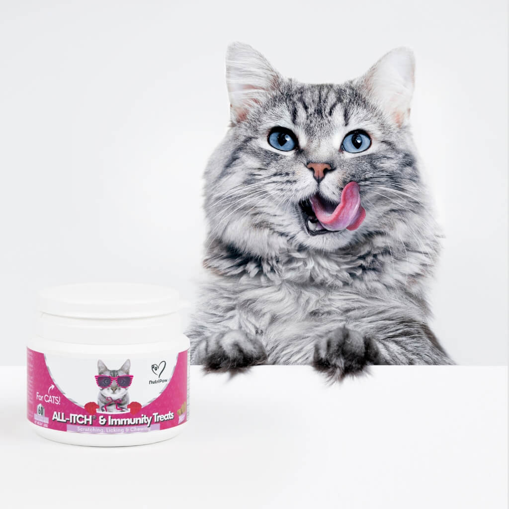 All-Itch Chews for Cats - Image 6