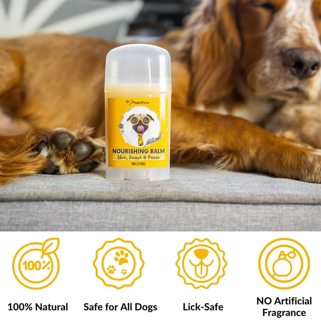 Skin, Snout & Paws Nourishing Balm 2 PACK Bundle - Image 10