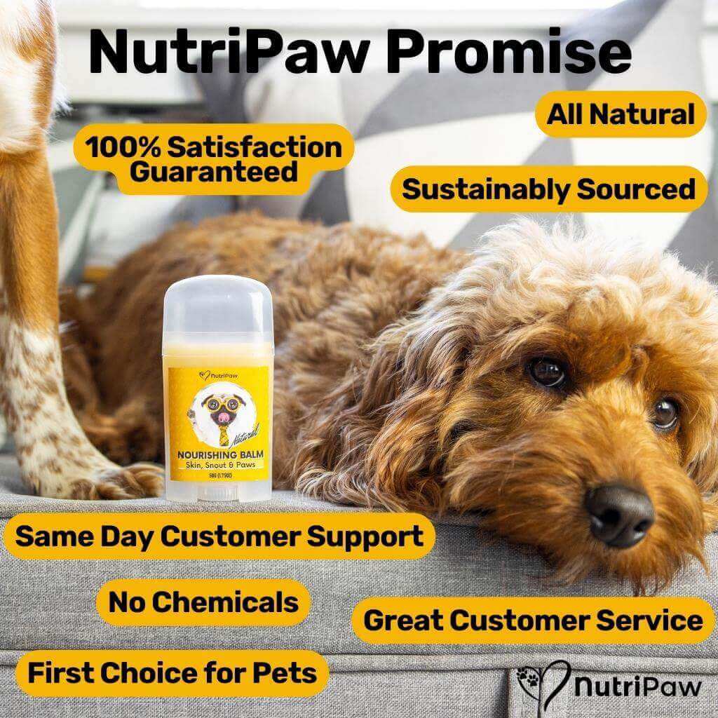 Skin, Snout & Paws Nourishing Balm 2 PACK Bundle - Image 11