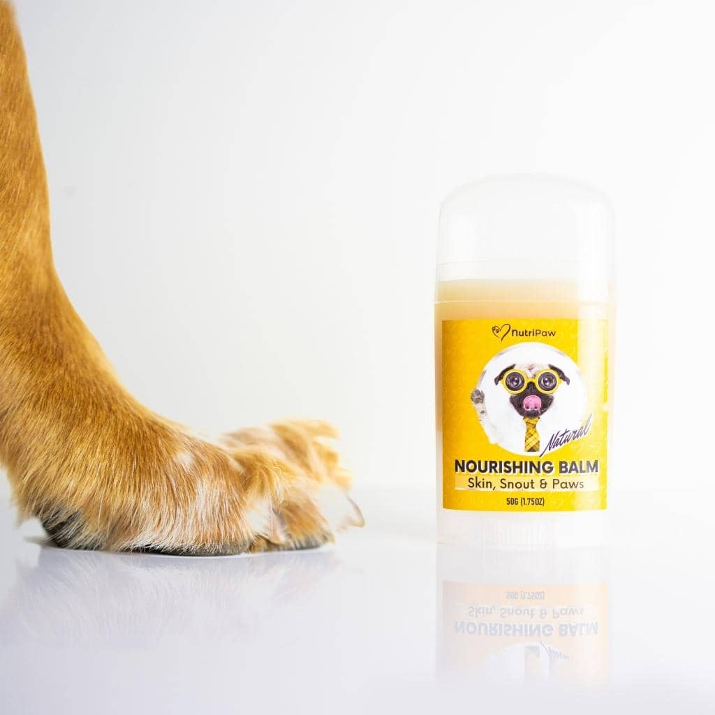 Skin, Snout & Paws Nourishing Balm 2 PACK Bundle - Image 12