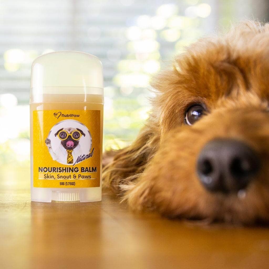 Skin, Snout & Paws Nourishing Balm 2 PACK Bundle - Image 13