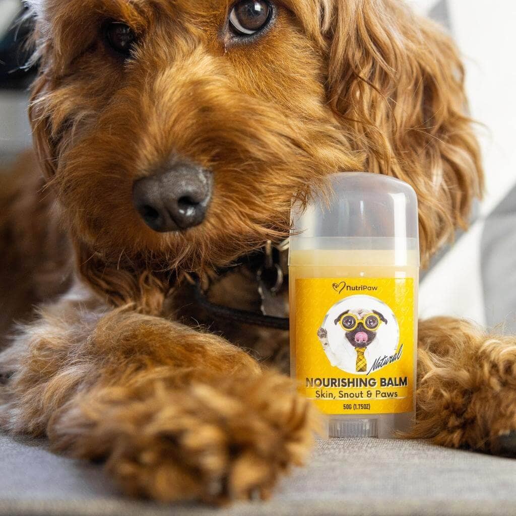 Skin, Snout & Paws Nourishing Balm 2 PACK Bundle - Image 3