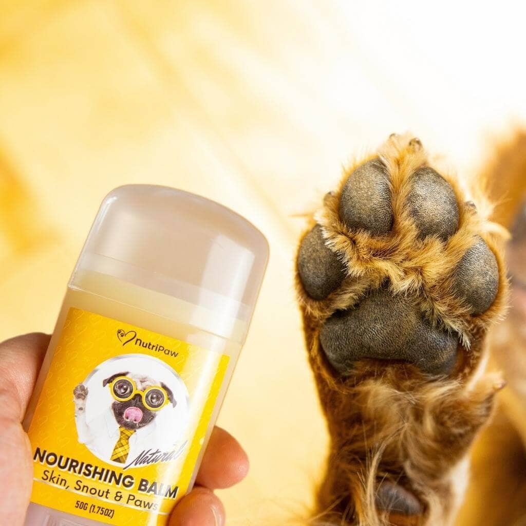 Skin, Snout & Paws Nourishing Balm 2 PACK Bundle - Image 6