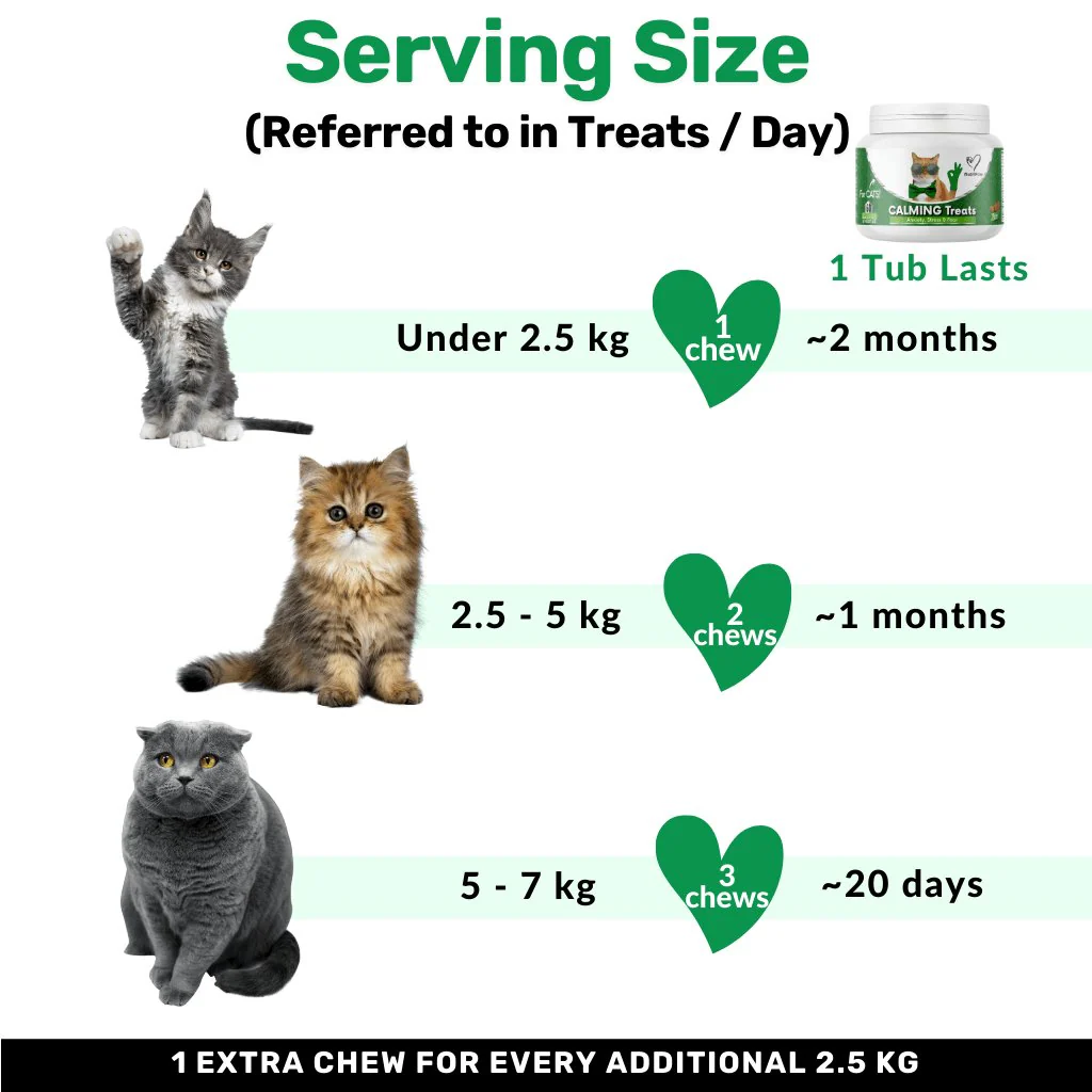 Calming Chew for Cats - Image 11