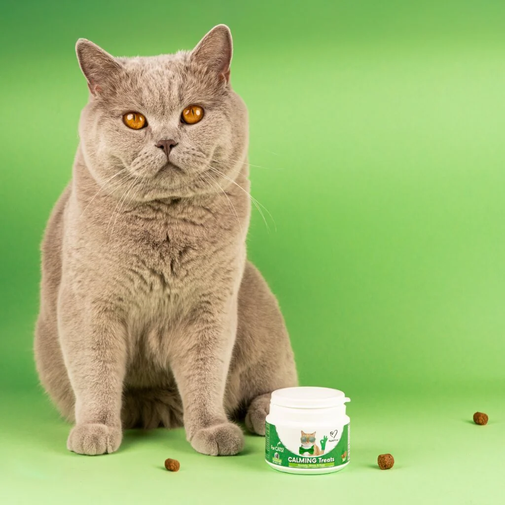 Calming Chew for Cats - Image 12