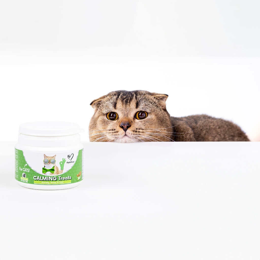 Calming Chew for Cats - Image 6