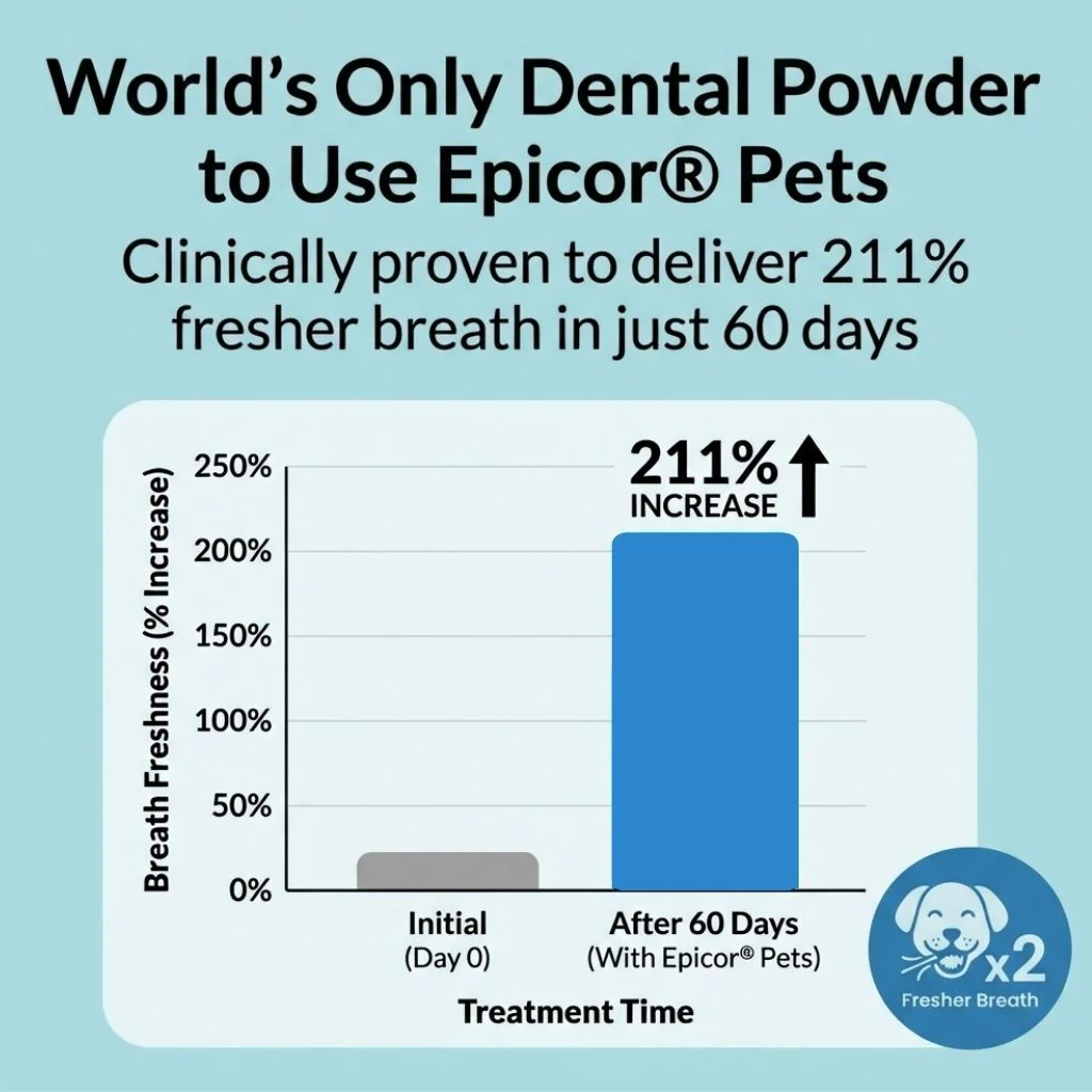 Dental Powder - Image 3