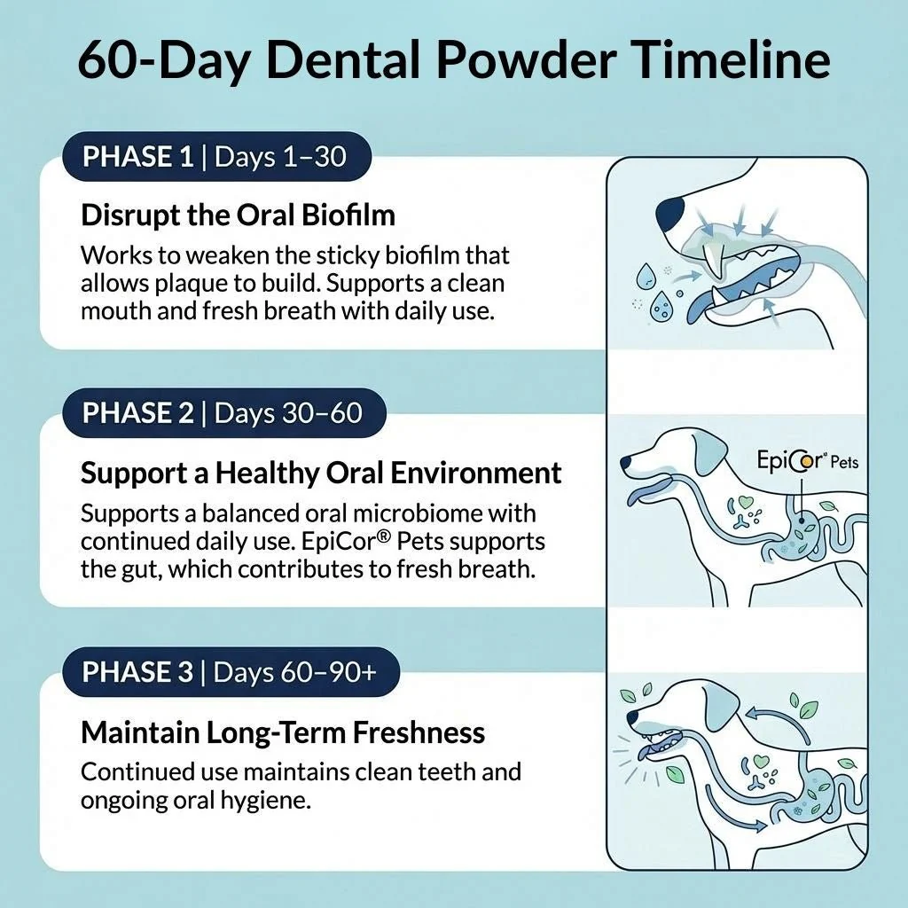 Dental Powder - Image 4