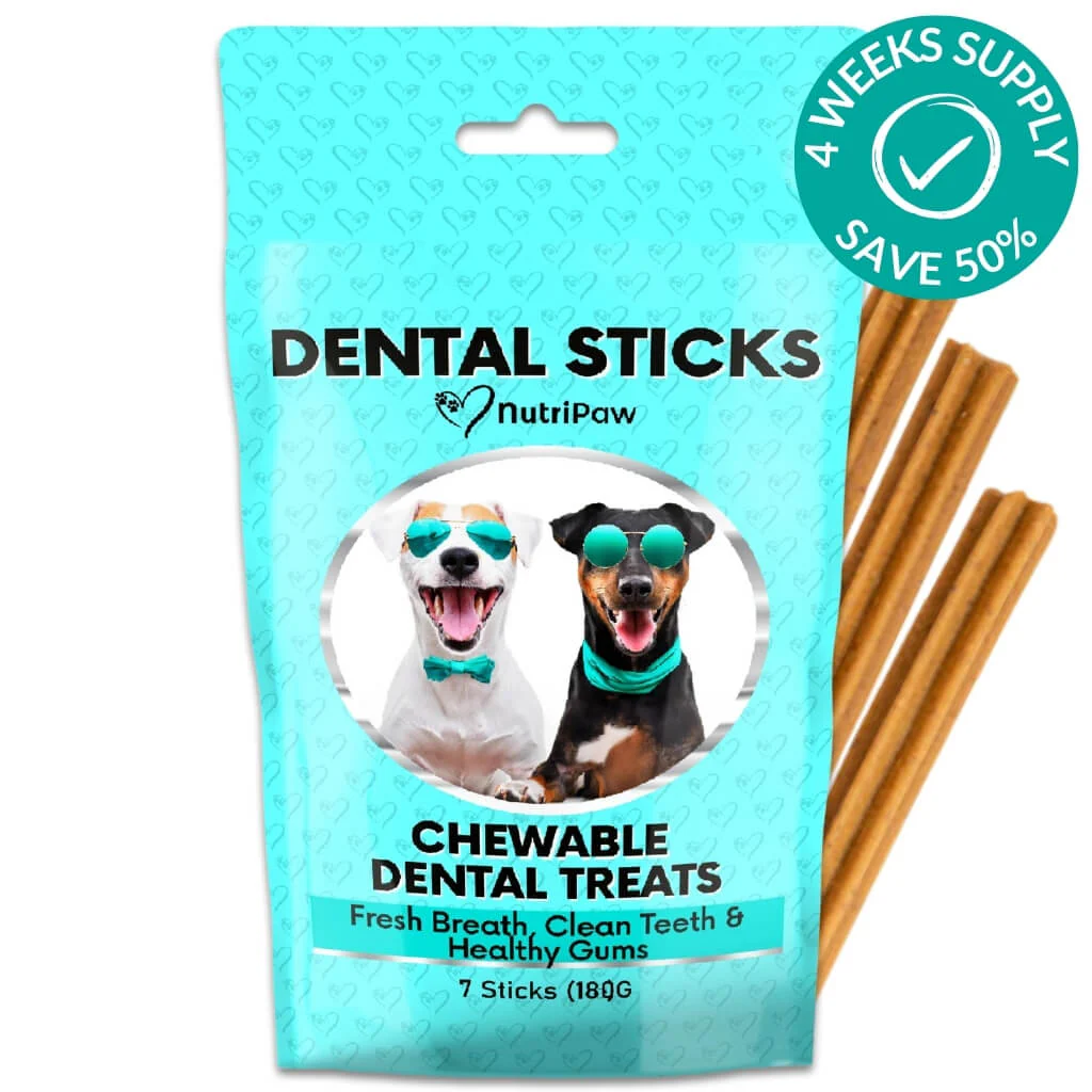 Dental Sticks - Image 7