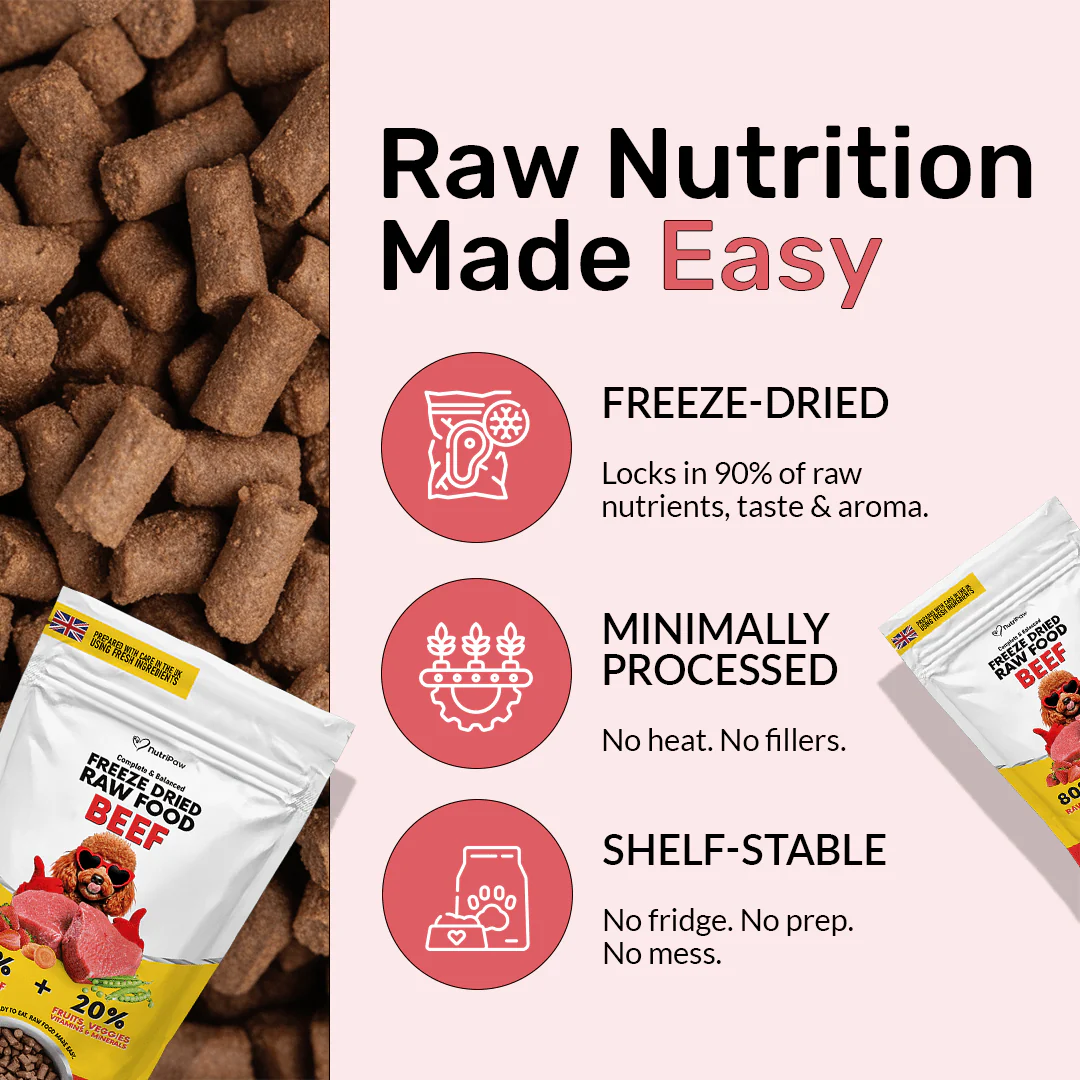 Freeze Dry Raw Beef - Image 6