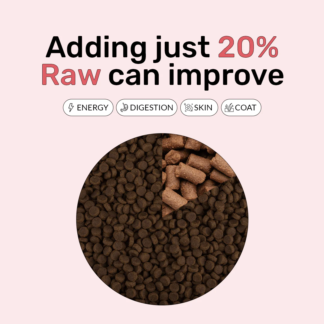 Freeze Dry Raw Beef - Image 7
