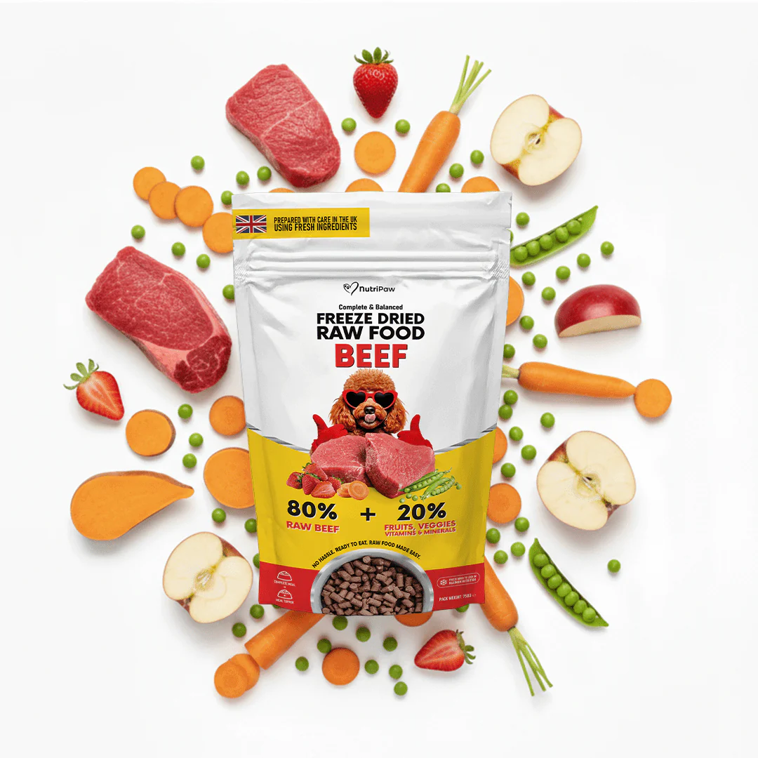 Freeze Dry Raw Beef - Image 8