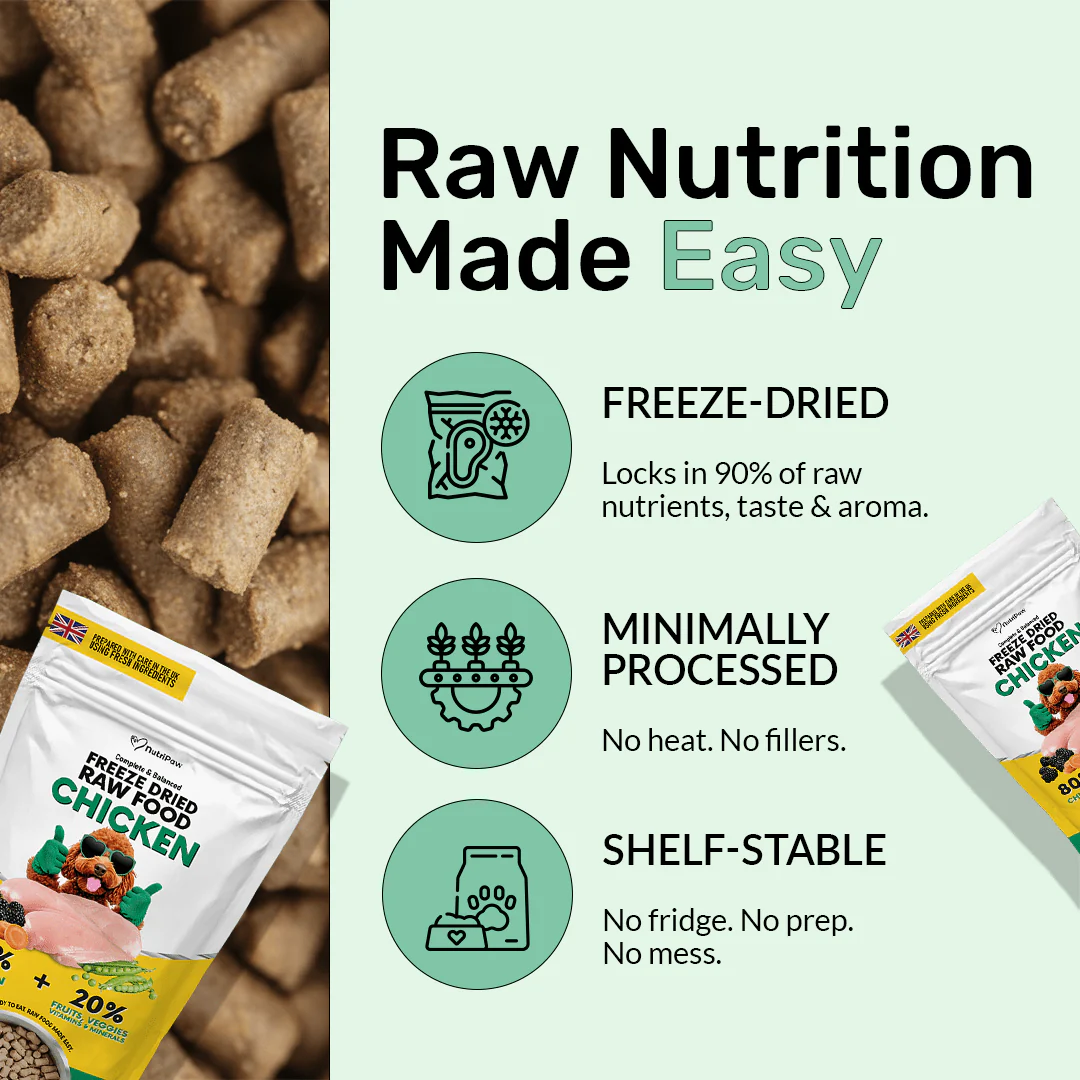 Freeze Dry Raw Chicken - Image 6