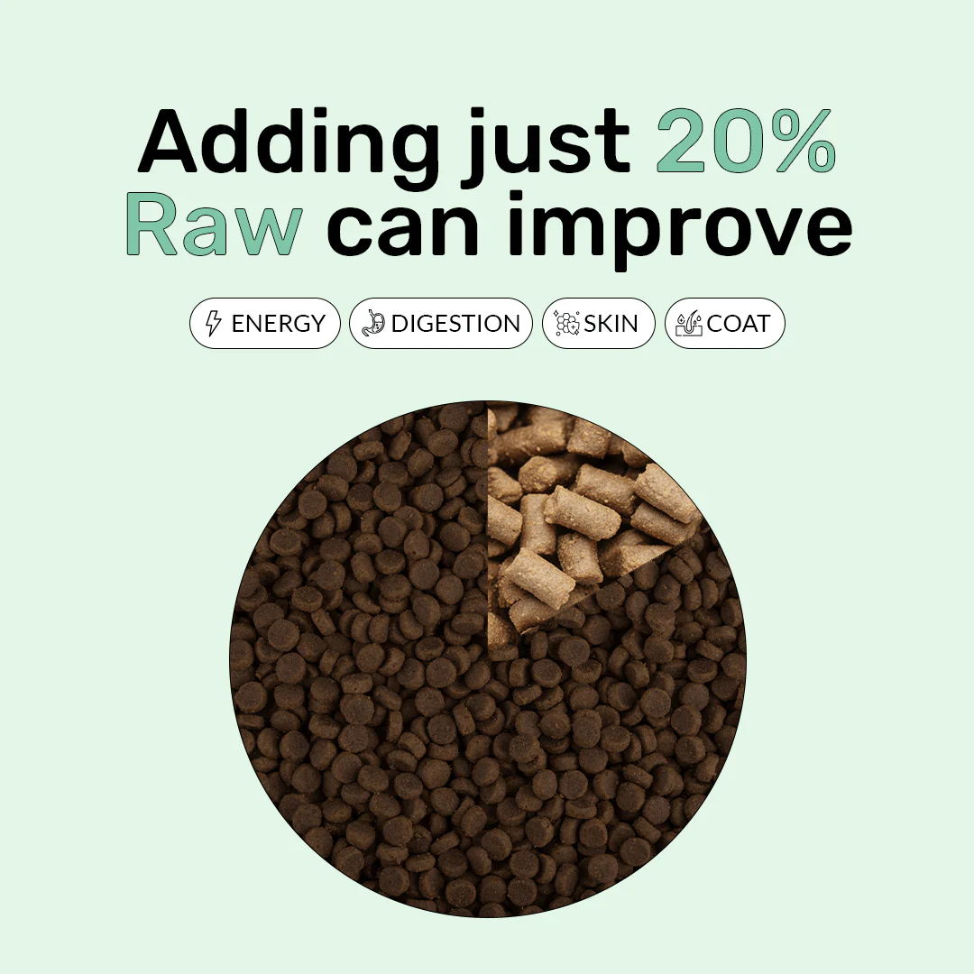 Freeze Dry Raw Chicken - Image 7
