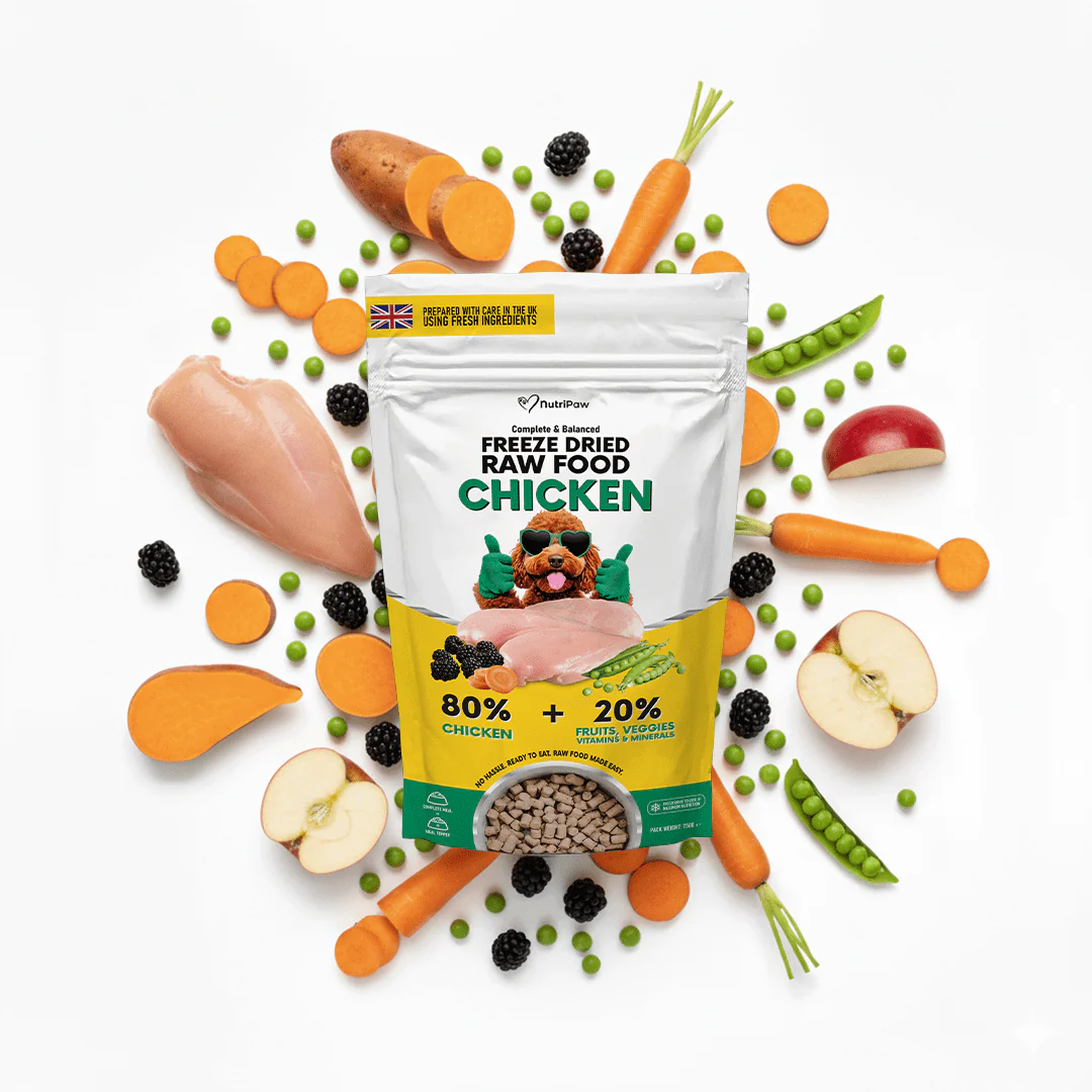 Freeze Dry Raw Chicken - Image 8