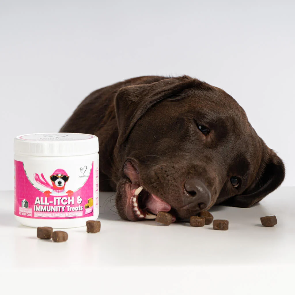 Itchy Dog Kit - Image 10