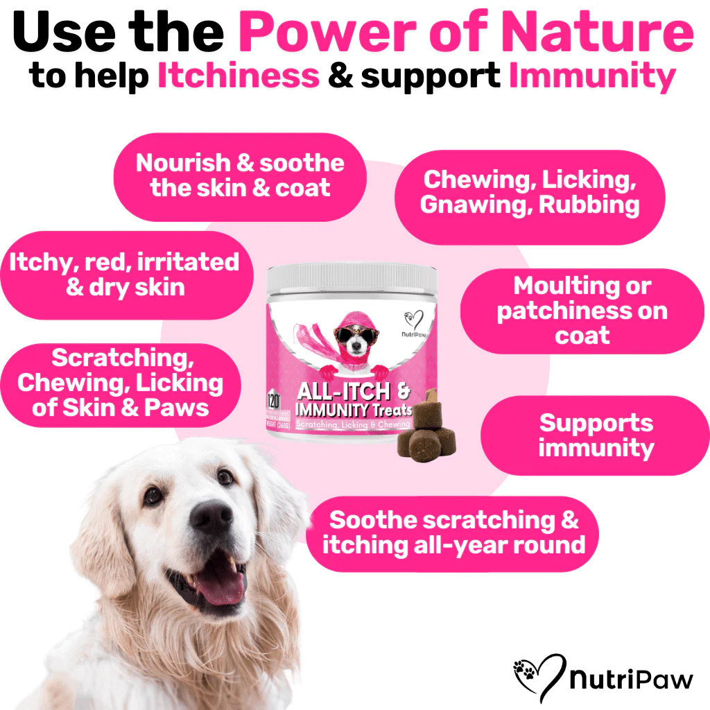 Itchy Dog Kit - Image 3