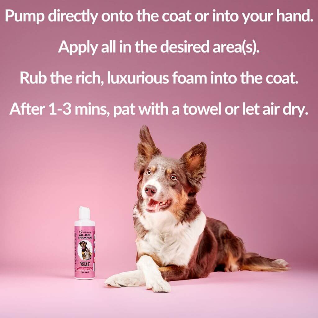 No-Rinse Skin & Coat Foam - Image 4