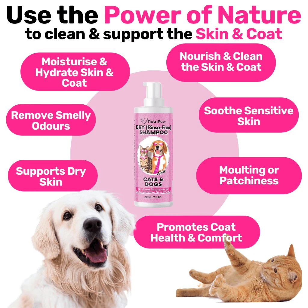 No-Rinse Skin & Coat Foam - Image 5