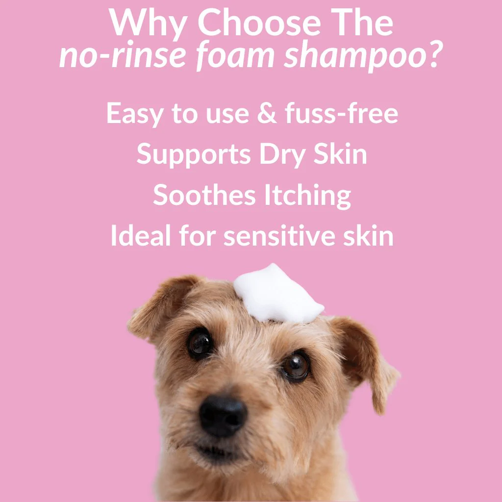 No-Rinse Skin & Coat Foam - Image 6