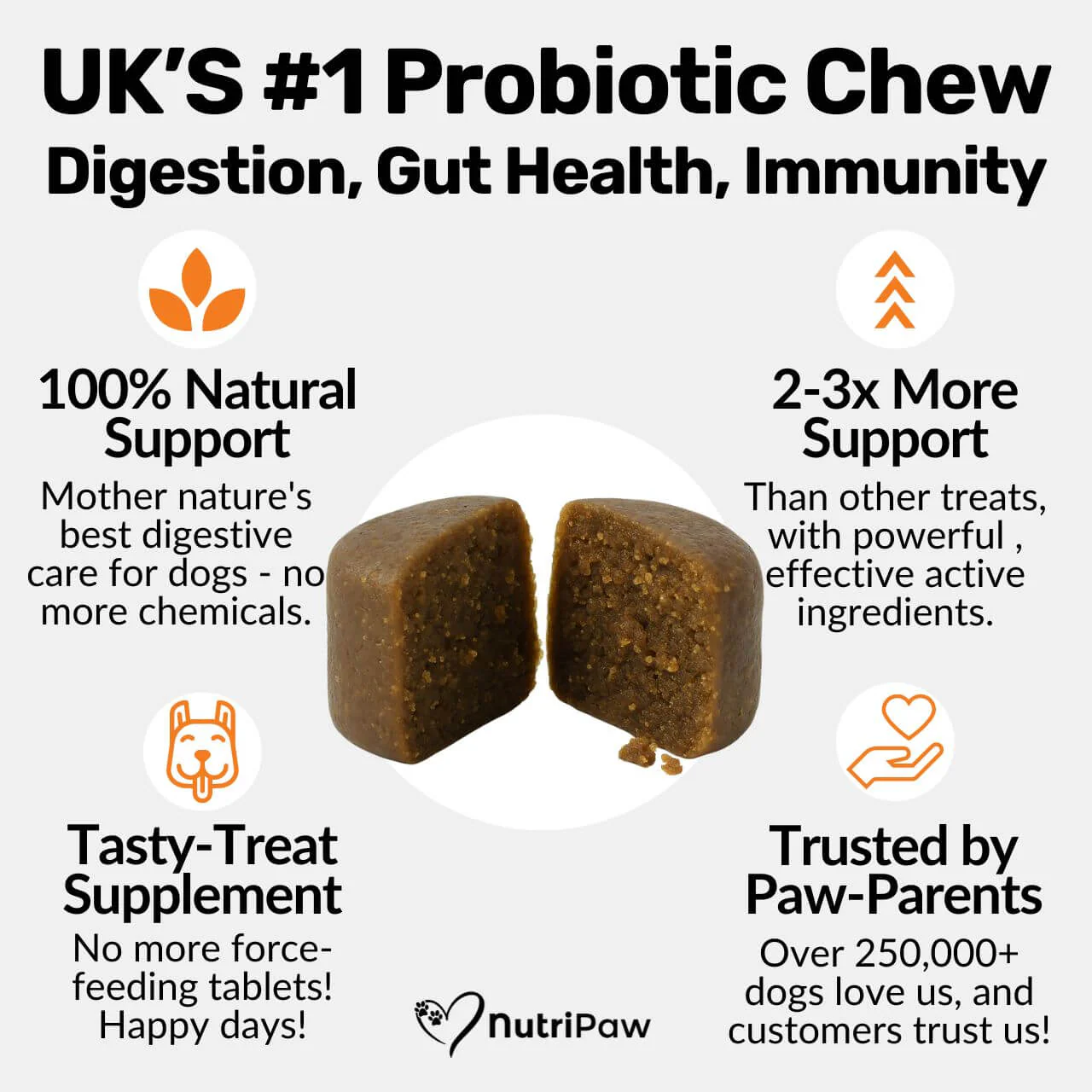 Pre, Pro & Postbiotic Digestive Treats - Image 5