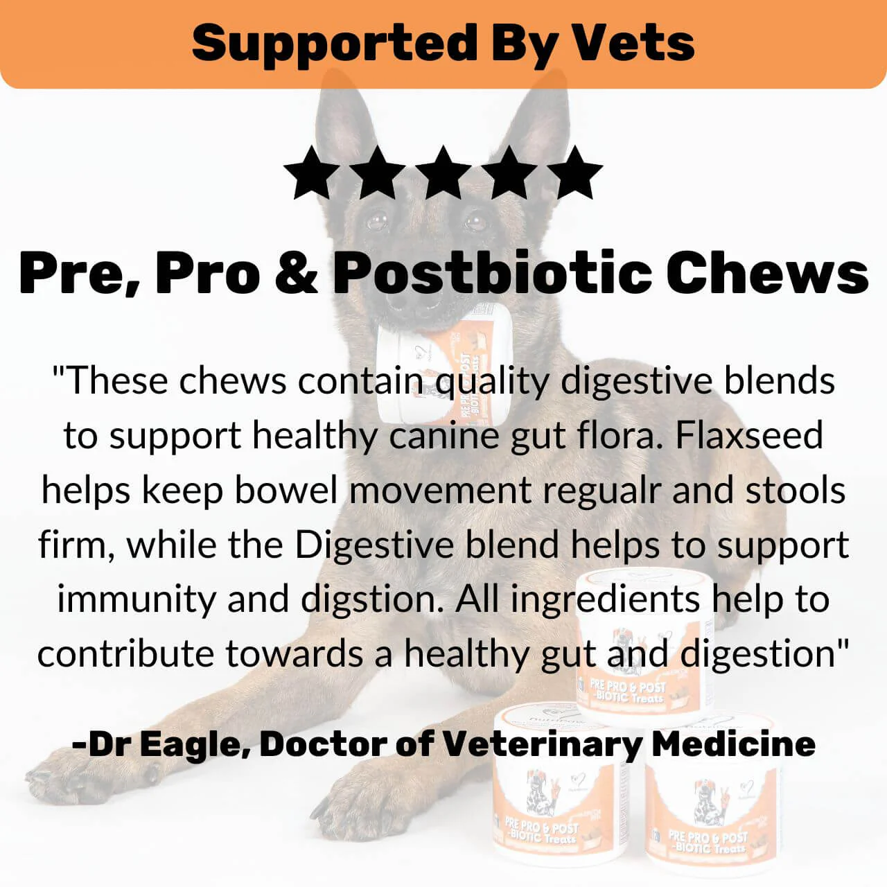 Pre, Pro & Postbiotic Digestive Treats - Image 8