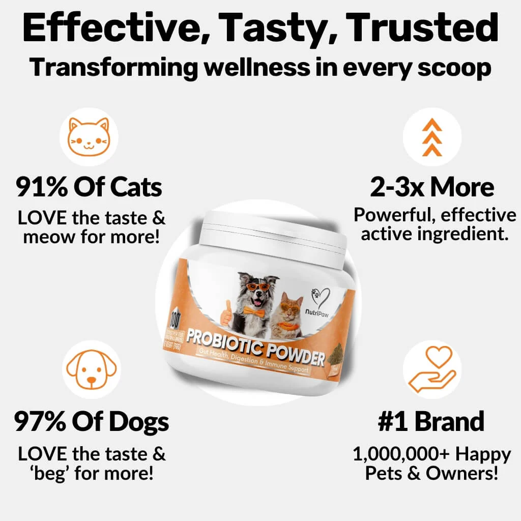 Pre, Pro & Postbiotic Powder - Image 5
