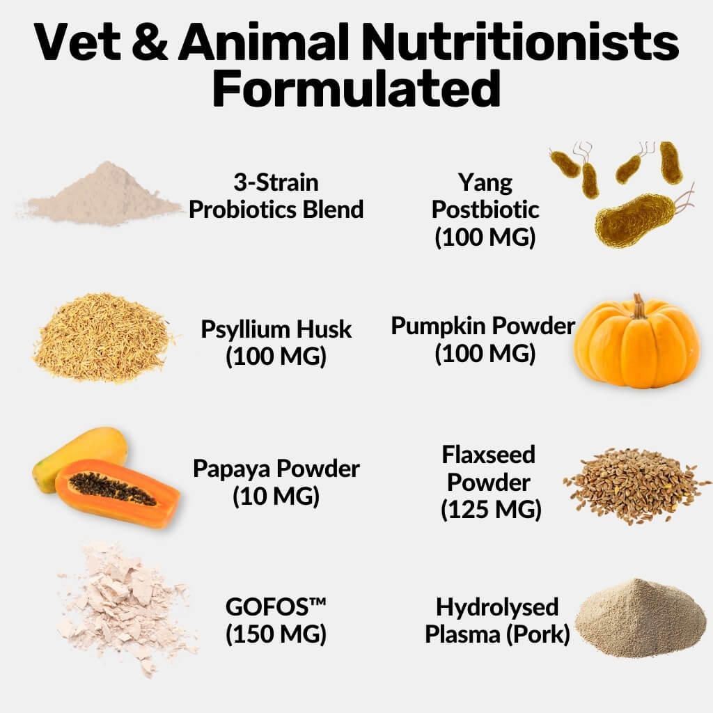 Pre, Pro & Postbiotic Powder - Image 7
