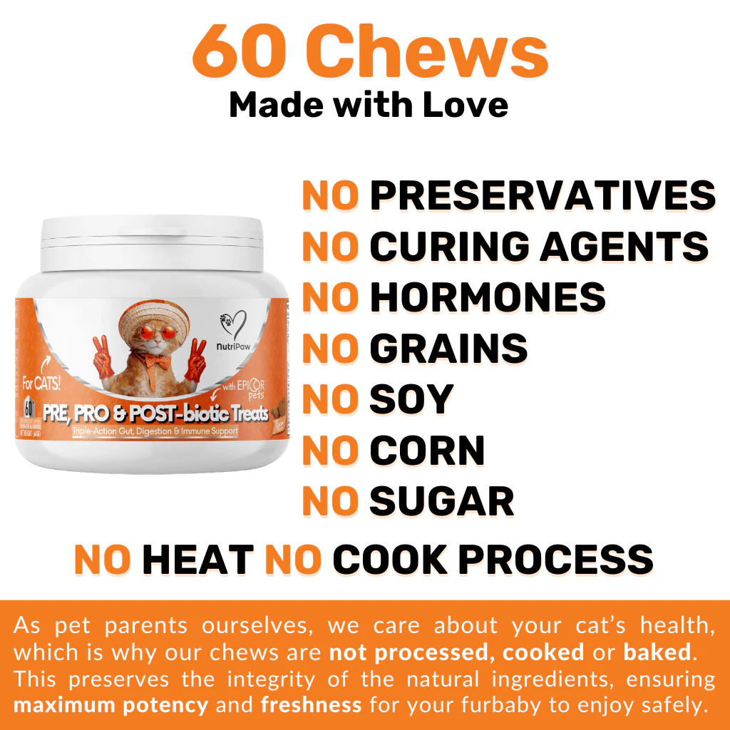 Probiotics & Hairball Chews - Image 9