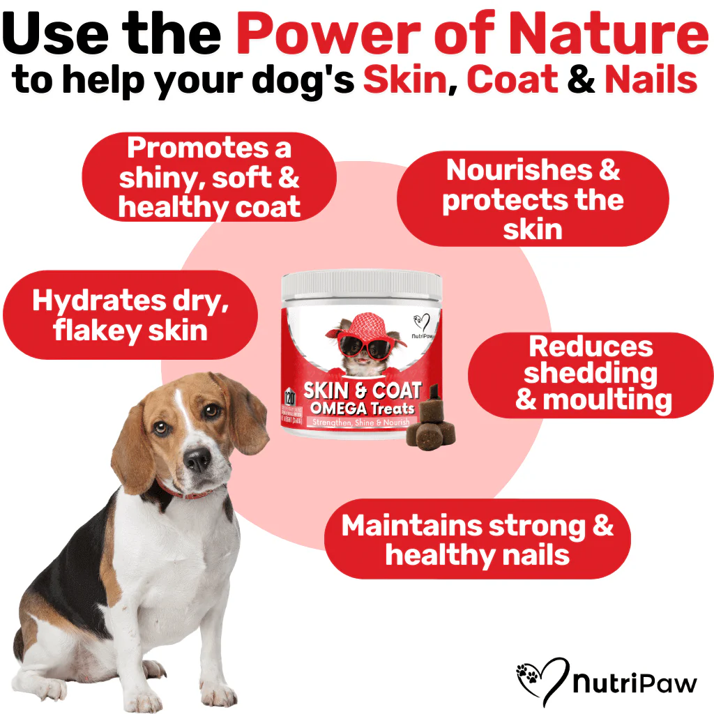Skin & Coat Treats - Image 3