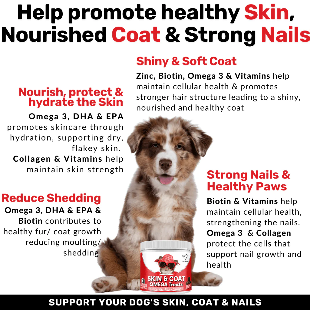 Skin & Coat Treats - Image 5