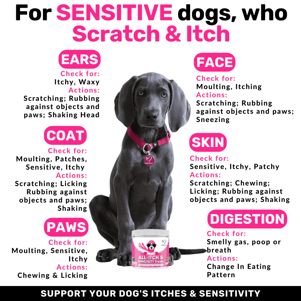 Stress & Scratch Kit - Image 4