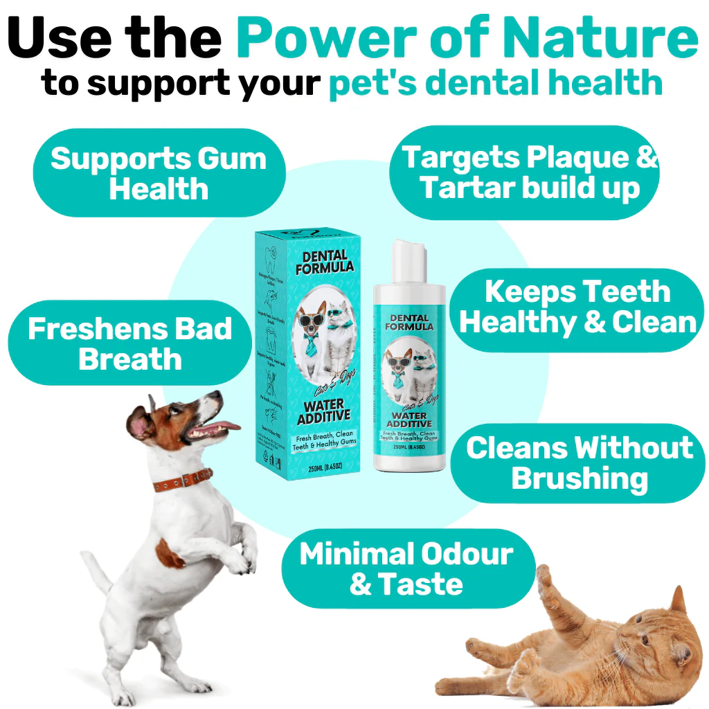 Teeth, Gums & Tums Kit - Image 10