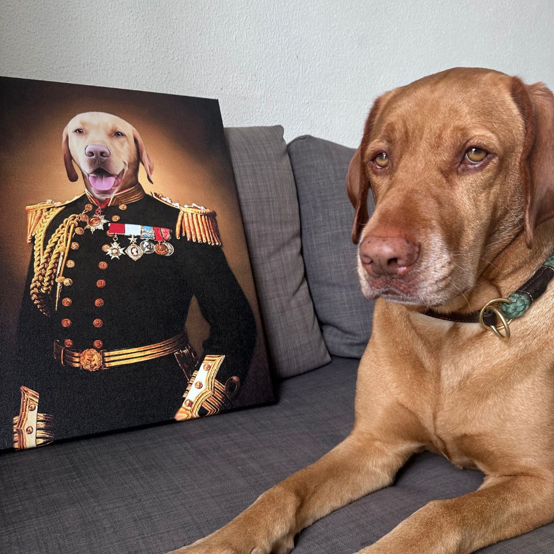 The General - Renaissance Pet Portrait - Image 3