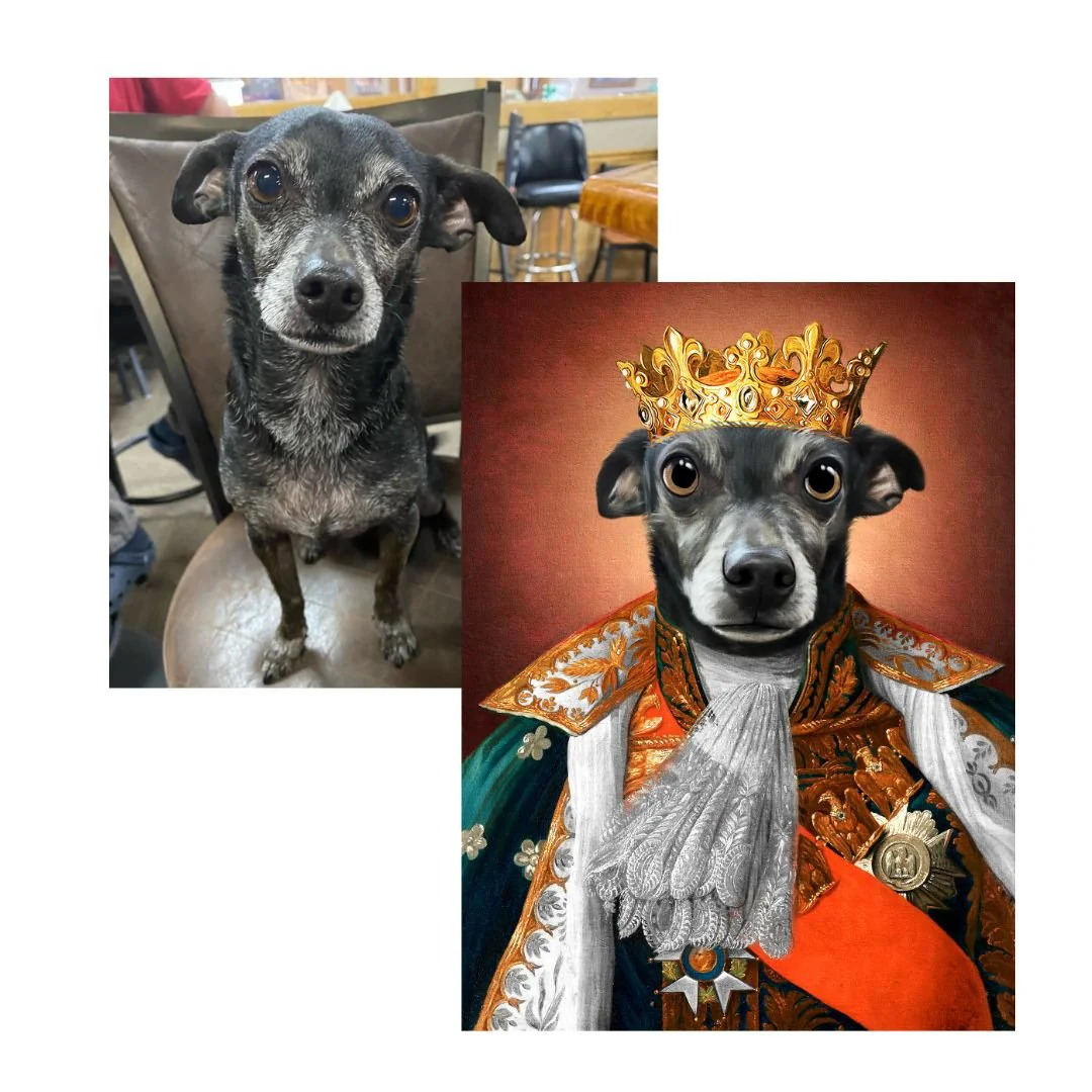 The King - Renaissance Pet Portrait - Image 8