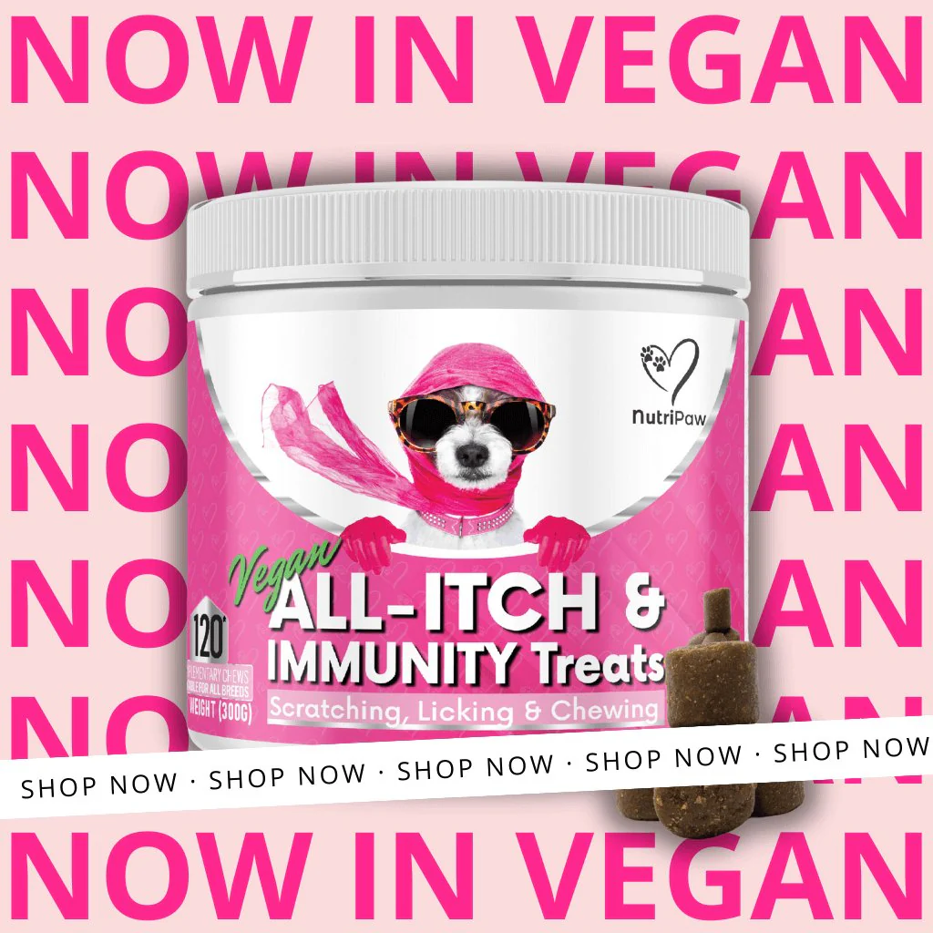 Vegan All-Itch - Image 7